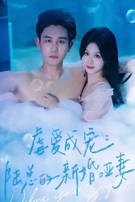 虐爱成宠：陆总的新婚哑妻